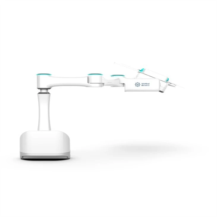 Interventional Endovascular Robotics System
